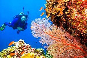 Andaman Tour Packages