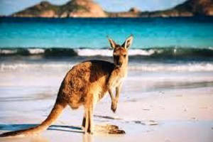 Australia Tour, Tour packages for Australia, Australia Sightseeing, Shopping in Australia, Book hotels and Resorts in Australia, Book cheap flights for Australia, Holidays in Australia, Australia tour operators, Honeymoon in Australia, Book Beach Resorts in Australia, Australia city tour, Tourist Places to see in Australia, Australia tourism, Tour to Australia, sightseeing in Australia