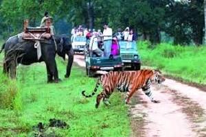 Corbett Sightseeing, Book Hotels in Corbett, Best resorts in Corbett, Tour Packages for  Jim Corbett, Rent a Car for Corbett tour packages, Tour to Corbett,  Best Time to Visit Corbett, Visit Tourist places in Corbett 