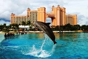 Dubai Tour, Tour Packages for Dubai, Book Hotels in Dubai, Dubai sightseeing, Dhow cruise in Dubai Creek, Desert safari in Dubai, Tour to Dubai, Dubai Honeymoon packages, Dubai holidays, Visit tourist places in Dubai, Dubai Mall, Dubai Shopping Festival,water sports in Dubai, activities in Dubai,Best deals for Dubai tour packages with Mumbaitravelguru.com, Dubai tour operators in Mumbai, Dubai tour operators in Cochin.