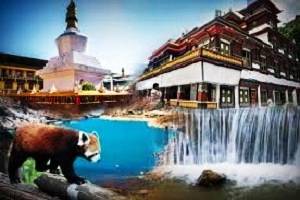 Darjeeling Gangtok Tour,Sikkim Darjeeling tour packages, Honeymoon in Sikkim,tour packages for Sikkim, Holidays in Sikkim Darjeeling, Book hotels in Darjeeling, Book resorts in Gangtok