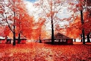 Gulmarg Sightseeing, Book Hotels in Gulmarg , Best resorts in Gulmarg, Tour Packages for  Gulmarg Kashmir, Rent a Car for Kashmir tour packages, Tour to Kashmir,  Best Time to Visit Kashmir, Visit Tourist places in Kashmir, Kashmir  honeymoon packages,  Explore Kashmir  tour packages, 