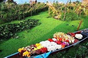 Srinagar Pahalgam Sightseeing, Book Hotels in Pahalgam , Best resorts in Pahalgam, Tour Packages for  Srinagar Gulmarg Pahalgam  Kashmir, Rent a Car for Jammu Kashmir tour packages, Tour to Jammu Kashmir,  Best Time to Visit  Jammu Kashmir, Visit Tourist places in Jammu Kashmir, Jammu  Kashmir  honeymoon packages,  Explore Jammu Kashmir  tour packages, 