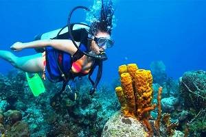 Maldives Tour, Tour Packages for Maldives, Book Hotels in Maldives, Maldives sightseeing, Dhow cruise in Maldives Creek, Desert safari in Maldives, Tour to Maldives, Maldives Honeymoon packages, Maldives holidays, Visit tourist places in Maldives, Maldives Mall, Maldives Shopping Festival,water sports in Maldives, activities in Maldives, Best deals for Maldives tour packages with Mumbaitravelguru.com, Maldives tour operators in Mumbai, Maldives tour operators in Cochin.