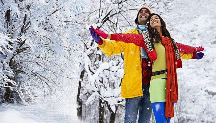 Himachal Honeymoon Tour packages