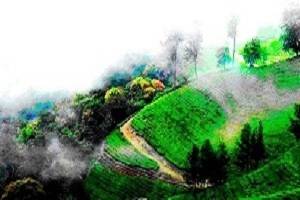 Cochin Munnar students Tour, students Tour Packages for Cochin Munnar, Book Hotels in Cochin, Book Resorts in  Munnar, Cochin Munnar sightseeing, Students group Tour to Cochin Munnar, Cochin Munnar Honeymoon packages, Cochin Munnar holidays, Visit tourist places in Delhi Agra, Cochin  Munnar Shopping, Students tour activities in Cochin Munnar, Cochin Munnar students tour operators in Mumbai, Cochin Munnar Students tour operators in Cochin. Rent a Car for Cochin Munnar tour packages. Find Best deals for Cochin Munnar tour packages with Mumbaitravelguru.com