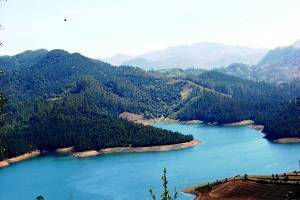 Bangalore Coorg Kodaikanal Ooty tour packages