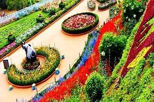 Bangalore Mysore Ootystudents Tour, students Tour Packages for Bangalore Mysore Ooty, Book Hotels in Bangalore, Book Resorts in  Ooty, Bangalore Mysore Ooty sightseeing, Students group Tour to Bangalore Mysore Ooty, Bangalore Mysore Ooty Honeymoon packages, Bangalore Mysore Ooty holidays, Visit tourist places in Bangalore Mysore Ooty, Bangalore Mysore Ooty Shopping, Students tour activities in Bangalore Mysore Ooty, Industrial visit in Bangalore Mysore Ooty, Bangalore Mysore Ooty students tour operators in Mumbai, Bangalore Mysore Ooty Students tour operators in Cochin. Rent a Car for Bangalore Mysore Ootytour packages. Find Best deals for Bangalore Mysore Ooty tour packages with Mumbaitravelguru.com  