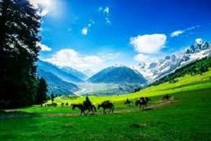 Srinagar Pahalgam Sightseeing, Book Hotels in Pahalgam , Best resorts in Pahalgam, Tour Packages for  Pahalgam  Kashmir, Rent a Car for Kashmir tour packages, Tour to Kashmir,  Best Time to Visit Kashmir, Visit Tourist places in Kashmir, Kashmir  honeymoon packages,  Explore Kashmir  tour packages, 