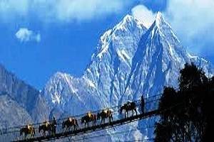 Sikkim Darjeeling tour packages, Honeymoon in Sikkim,tour packages for Sikkim, Holidays in Sikkim Darjeeling, Book hotels in Darjeeling, Book resorts in Gangtok, Tour packages for Himlayan Mountains, Places to see in Pelling,