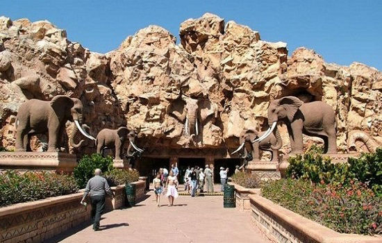 South Africa Tour Packages, Holidays In South Africa