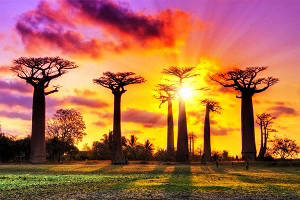 South Africa  Tour, Tour packages for South Africa , South Africa  Sightseeing, Shopping in South Africa , Book hotels and Resorts in South Africa , Book cheap flights for South Africa , Holidays in South Africa , South Africa  tour operators, Honeymoon in South Africa , Book Beach Resorts in South Africa , South Africa  city tour, Tourist Places to see in South Africa , South Africa  tourism, Tour to South Africa , sightseeing in South Africa 