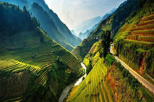 Vietnam Tour, Tour packages for Vietnam, Vietnam Sightseeing, Shopping in Vietnam, Book hotels and Resorts in Vietnam, Book cheap flights for Vietnam, Holidays in Vietnam, Vietnam tour operators, Honeymoon in Vietnam, Vietnam nightlife, Vietnam city tour, Places to see in Vietnam, Vietnam tourism, Tour to Vietnam