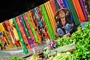 Vietnam Tour, Tour packages for Vietnam, Vietnam Sightseeing, Shopping in Vietnam, Book hotels and Resorts in Vietnam, Book cheap flights for Vietnam, Holidays in Vietnam, Vietnam tour operators, Honeymoon in Vietnam, Vietnam nightlife, Vietnam city tour, Places to see in Vietnam, Vietnam tourism, Tour to Vietnam